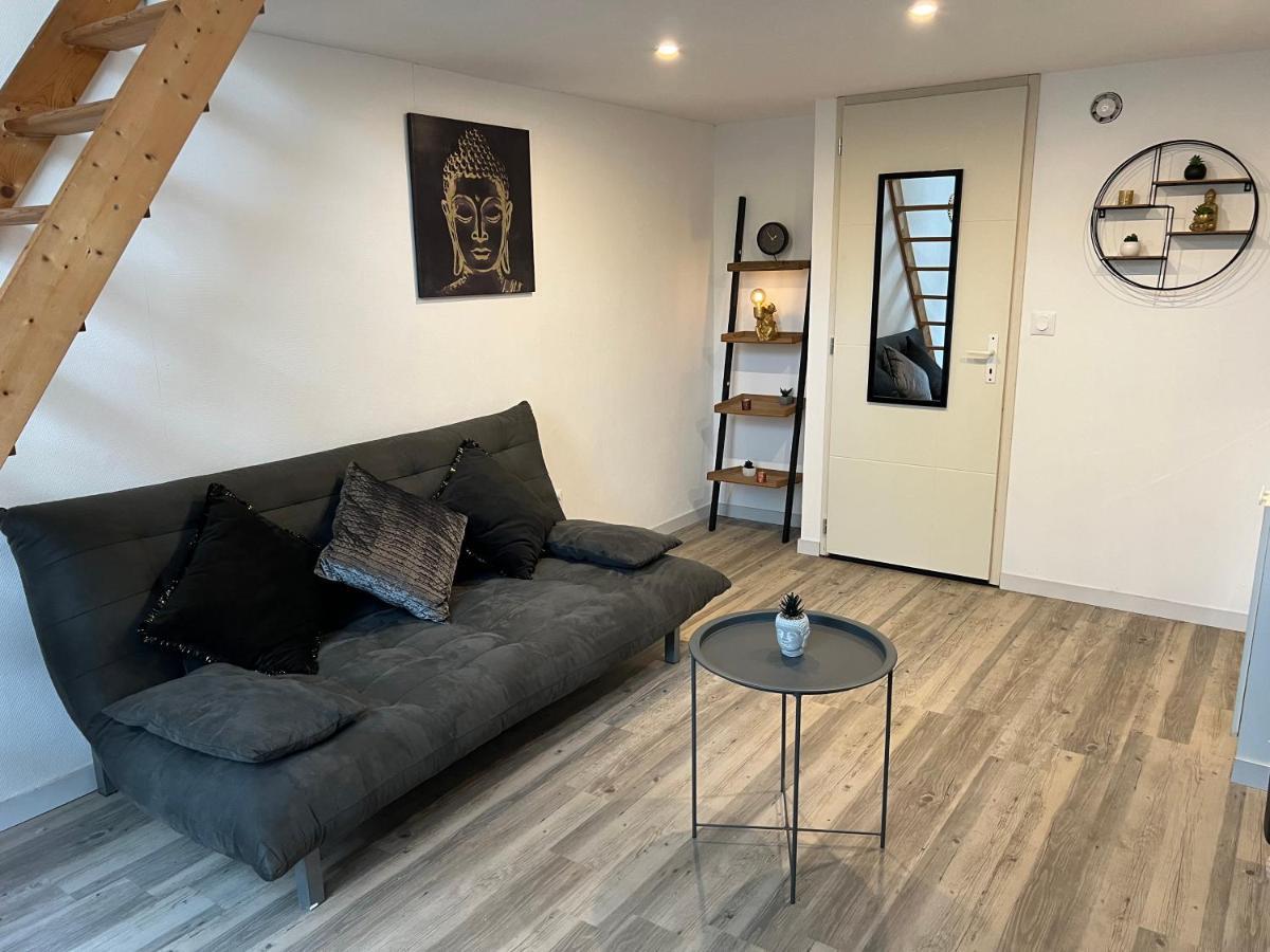 Appartement Cosy Proche Gare Toulouse Dış mekan fotoğraf