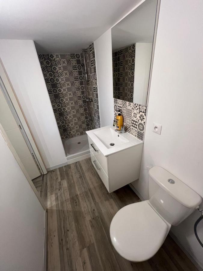 Appartement Cosy Proche Gare Toulouse Dış mekan fotoğraf